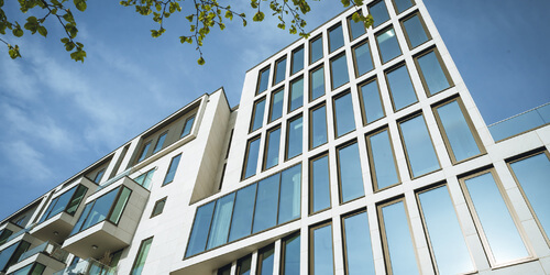 Fokus Neubau